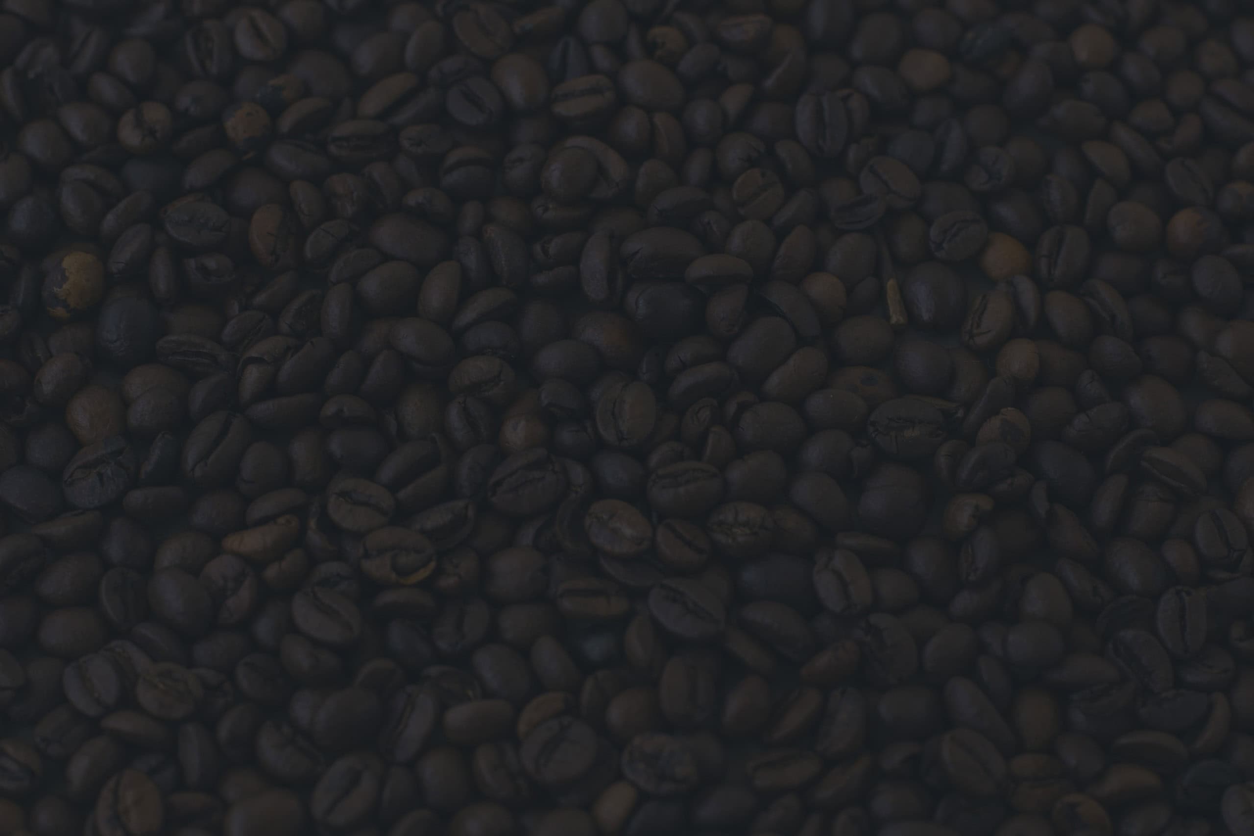 Buy Italian Ground Coffee from Lugano Caffe