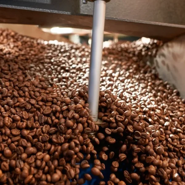 Roasting Espresso Beans Pumped out of a roasting tanks
